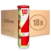 Wilson Team W Practice 18x 4 Ball Tube In A Box