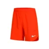 Nike Dri-Fit Slam Shorts Men